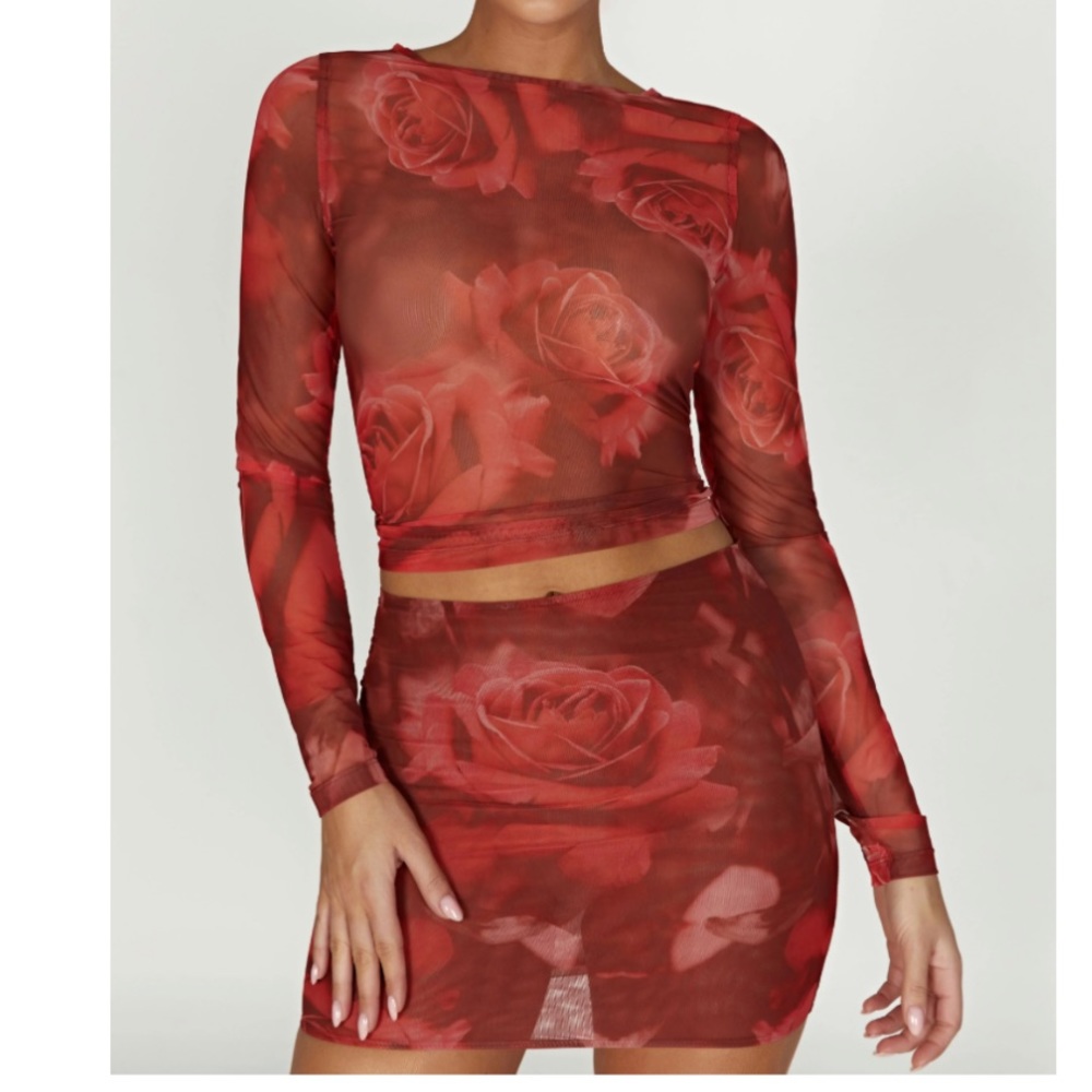 Rose print mesh skirt and top set